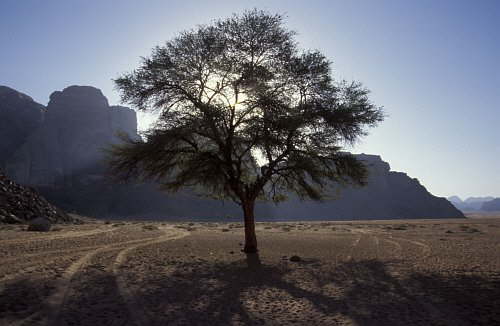 Wadi Ramm